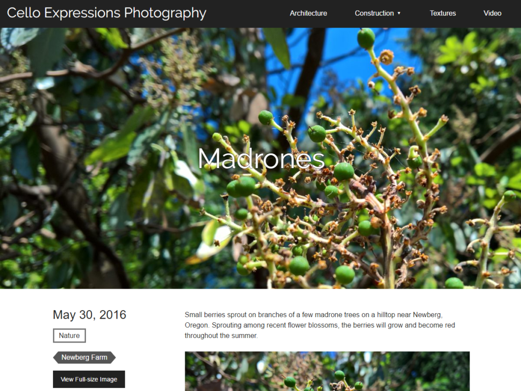 Arbutus theme screenshot showing "Madrones" text over a full-screen image.